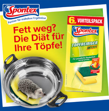 Spontex